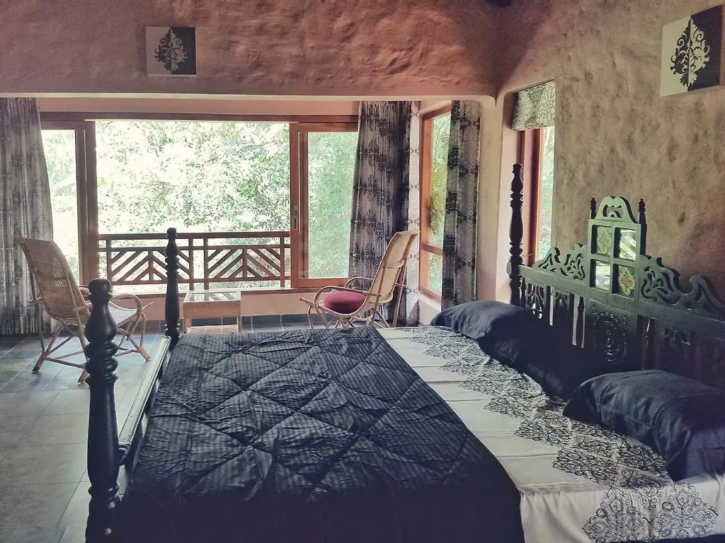 Talking Trees Hotel Panamaram Affittacamere