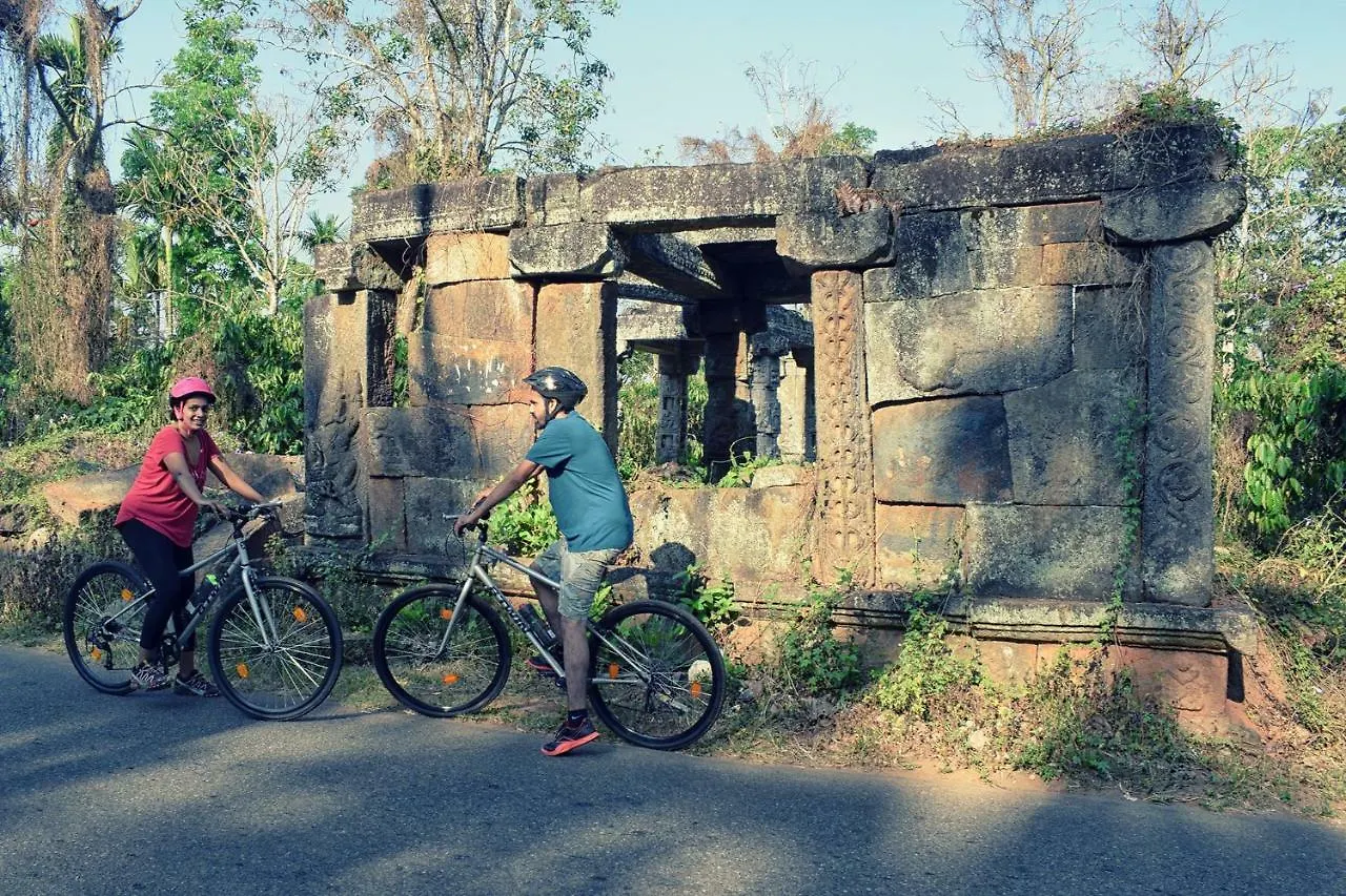 Talking Trees Hotel Panamaram India