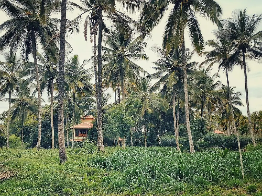 *** Gasthof Hotel Talking Trees Panamaram Indien